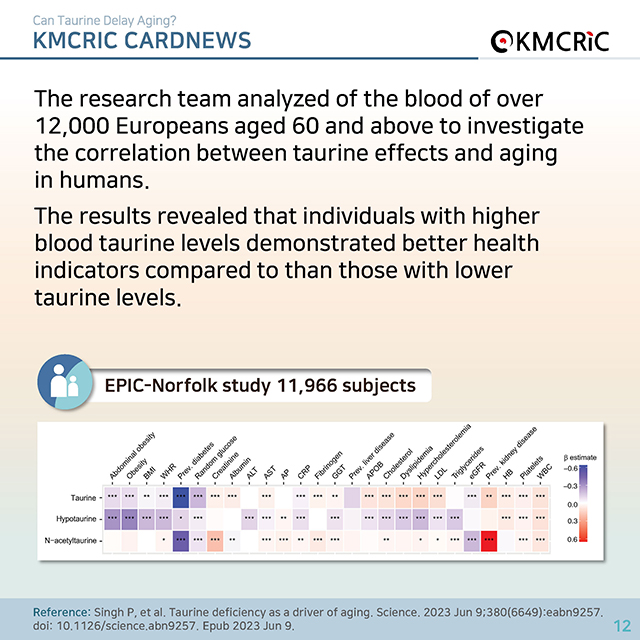 0074 cardnews-타우린이 노화를 늦출 수 있을까-영어_페이지_12.jpg