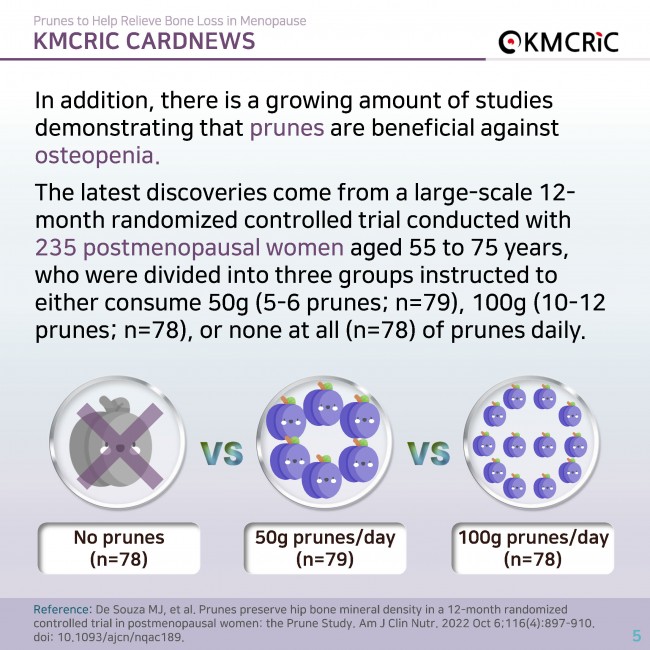 0084 cardnews-폐경기 골감소증 완화에 도움 되는 푸룬(Prune)-영어_페이지_05.jpg