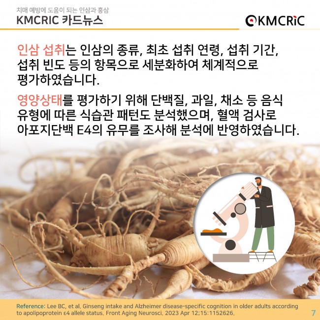 0085 cardnews-치매 예방에 도움이 되는 인삼과 홍삼-한글_페이지_07.jpg