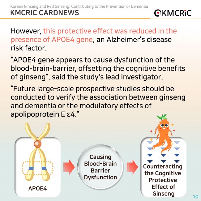 0085 cardnews-치매 예방에 도움이 되는 인삼과 홍삼-영어_페이지_10.jpg