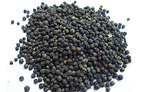 Black pepper