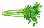 Celery 
