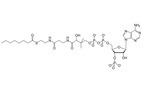 Coenzyme Q10