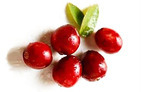 Cranberry