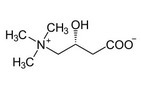 L-carnitine