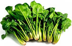 Spinach