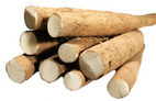 Wild yam