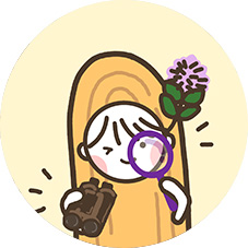 김감초